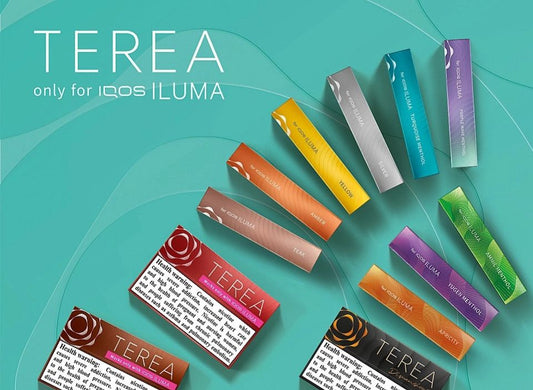 Flavored Tobacco Sticks Kazakhstan: Top Trends and Buying Guide